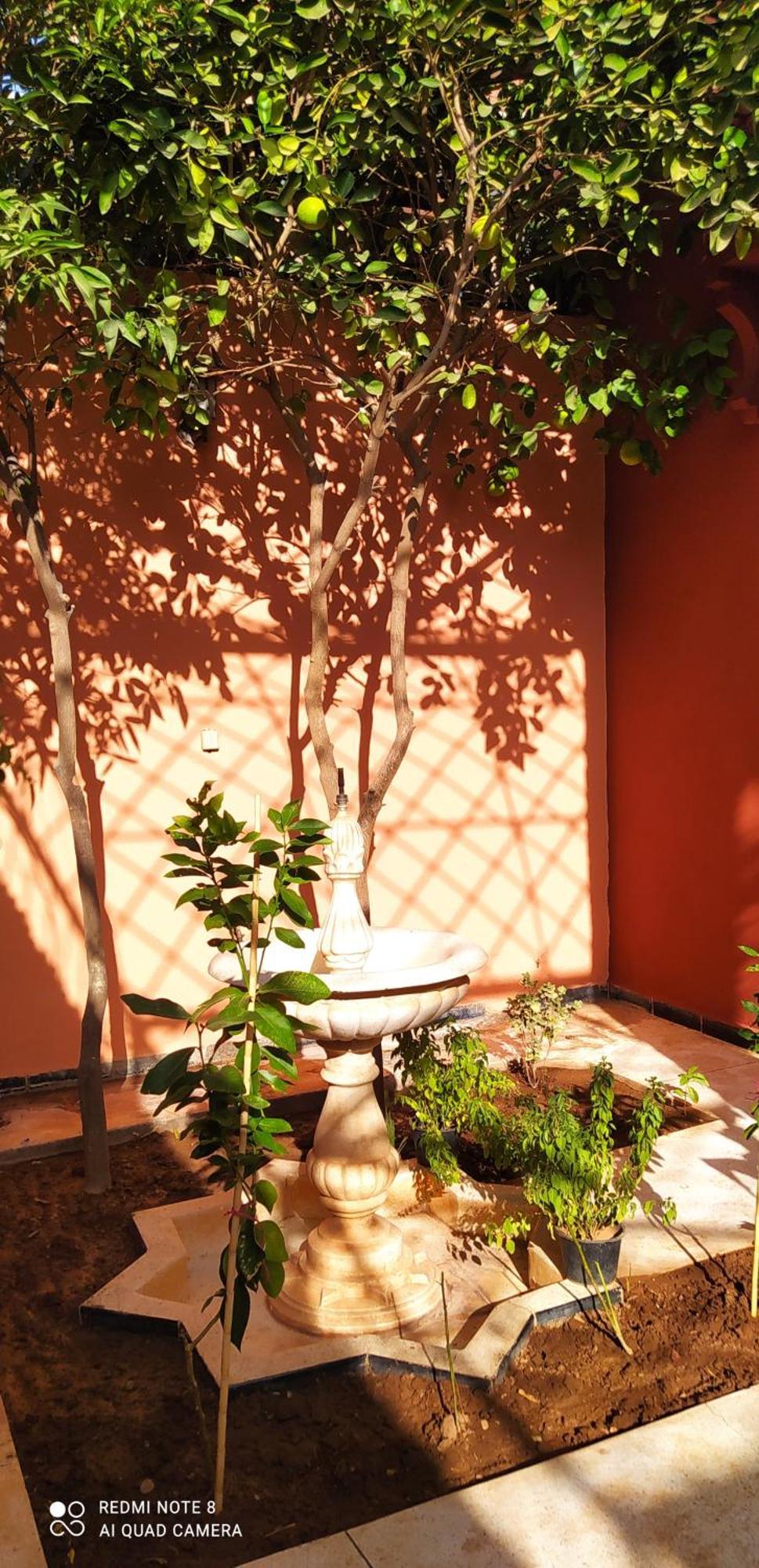 Maison D'Hotes Le Petit Jardin Marrakech Marrakesz Zewnętrze zdjęcie